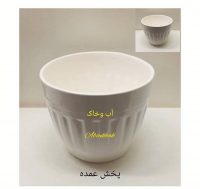 کاج تکی - Image 2