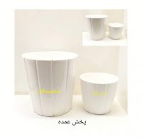 دلتا دوتایی