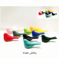 پرستو رنگی - Image 2
