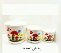 قارچی زیره دار