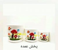 قارچی زیره دار - Image 2