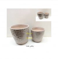 دوتایی گل سرخی طوسی